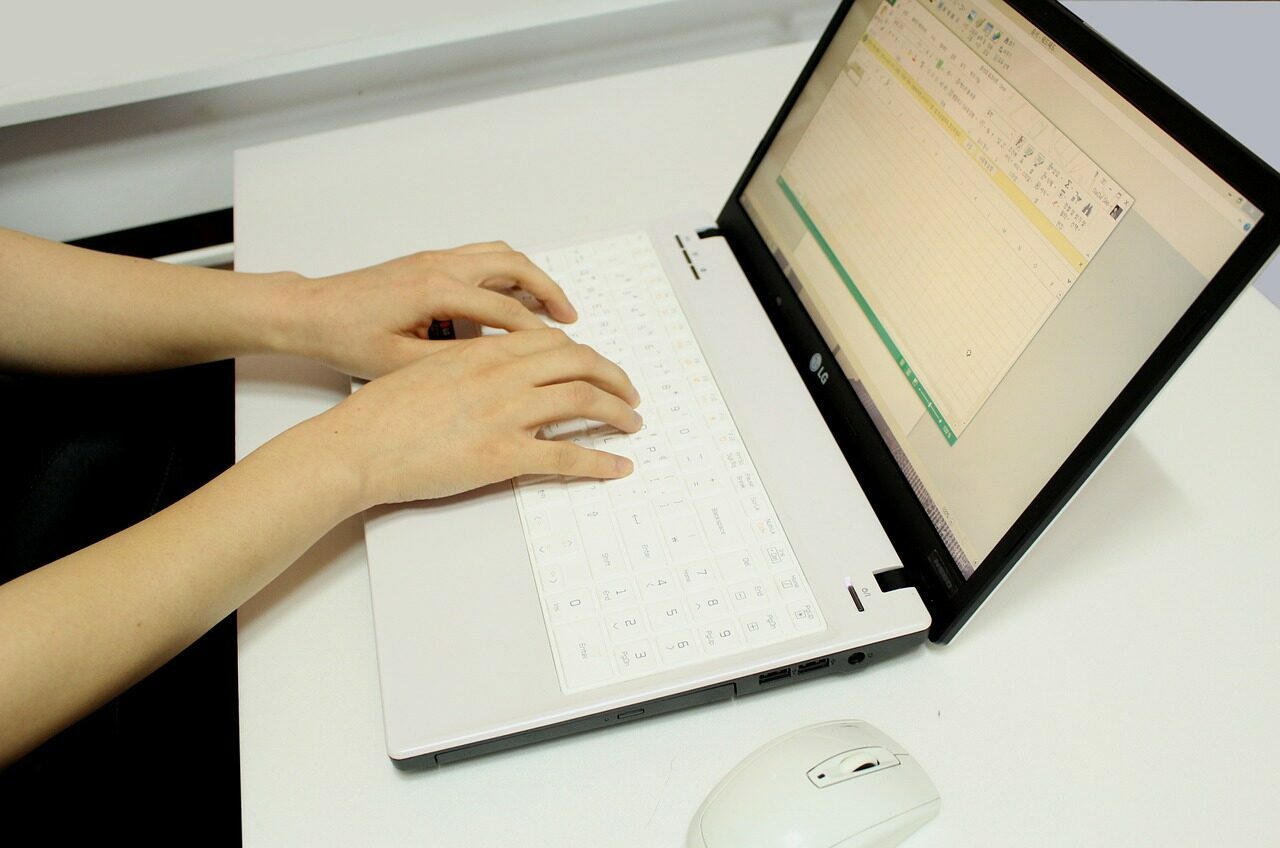 Computer Work Consulting Laptop  - ddalki3003 / Pixabay